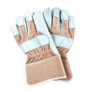 Gloves / All Catagories