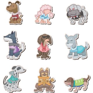 Pet Apparel & Accessories